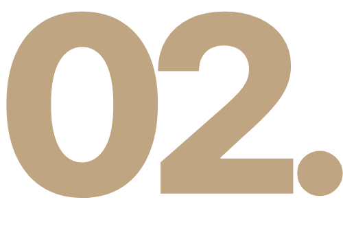 Fase 2 postgrado acupuntura